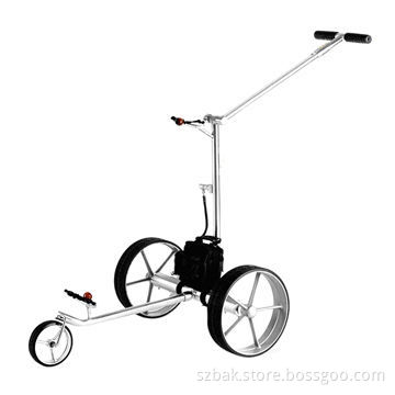 Popular LiFePO4 Battery for Golf Trolley, 12V/22Ah, High Quality, Good Price, 26650 Battery Packed